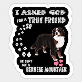 Cattle Dog Berner Sennenhund Bernese Mountain Sticker